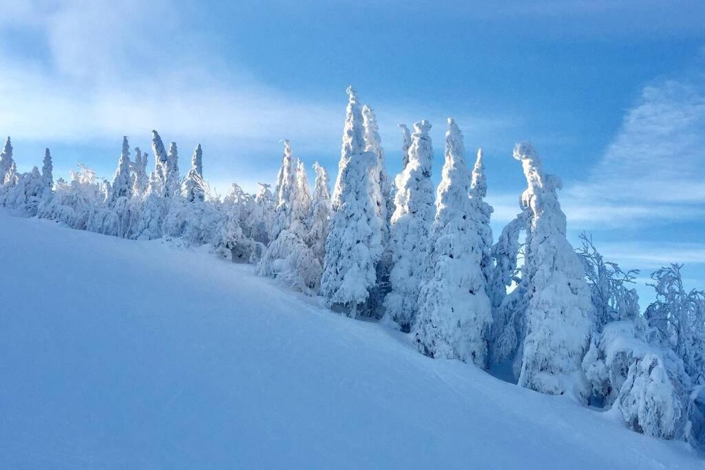 Ferienwohnung The Mountainside By Escapades Tremblant Mont-Tremblant Exterior foto